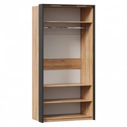 Шкаф двухстворчатый с комбинированными дверями и паспарту Техно 041 Дуб Золотой Черный_2