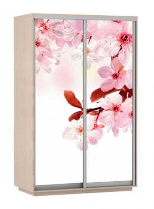 Шкаф-купе двухдверный Экспресс Дуо 1400х2200h Сакура/Дуб молочный_0