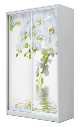 Шкаф-купе Хит-23-14-77 Орхидея Белая шагрень_0