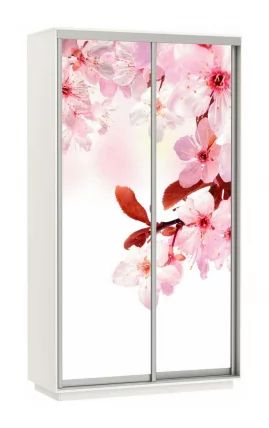 Шкаф-купе двухдверный Экспресс Хит Сакура/Белый снег_0