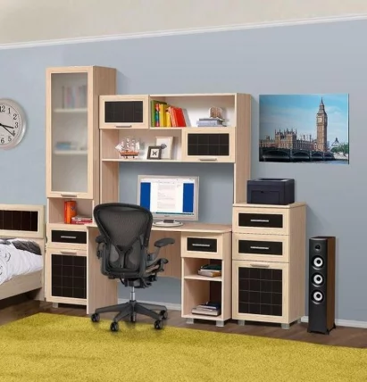 Шкаф-купе Уголок школьника (двухдверный) Дуб беленый Туя светлая_1