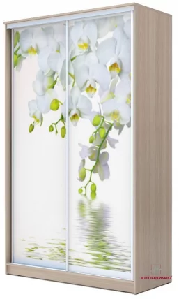Шкаф-купе Хит-24-14-77 Орхидея Ясень шимо светлый_0