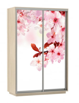 Шкаф-купе двухдверный Экспресс Дуо 1600х2400h Сакура/Ясень шимо светлый_0