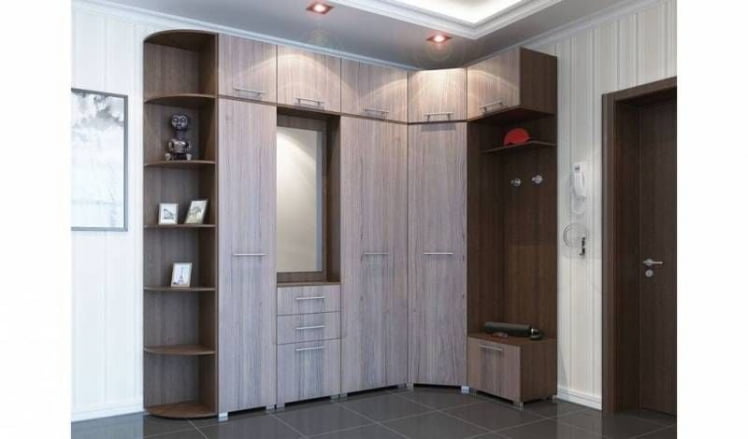 Шкаф для одежды Браво-1 (Венге/ясень шимо темный)_3