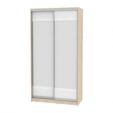 Шкаф-купе B-220х120х60-1(ДСС-Белый-D10D10)_0