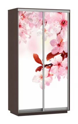 Шкаф-купе двухдверный Экспресс Дуо 1200х2200h Сакура/Венге_0