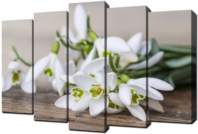 Модульная картина Toplight хсм TL-PM0011_0