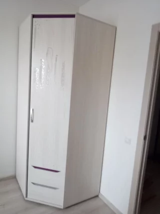 Шкаф для одежды угловой (правый) Мегаполис 55.03 Сосна Астрид_10