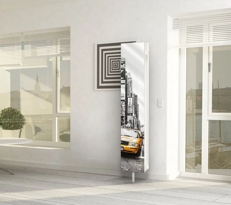 Зеркальный поворотный шкаф с принтом Зум Шелф Арт Венге_4