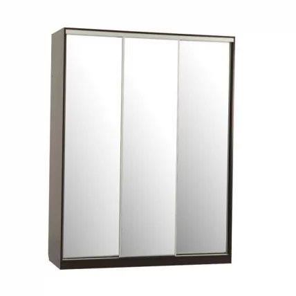 Шкаф-купе Бассо 4-600 Венге_0