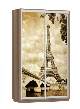 Шкаф-купе двухдверный Экспресс Дуо 1200х2400h Париж/Ясень шимо тёмный (копия 187794)_0