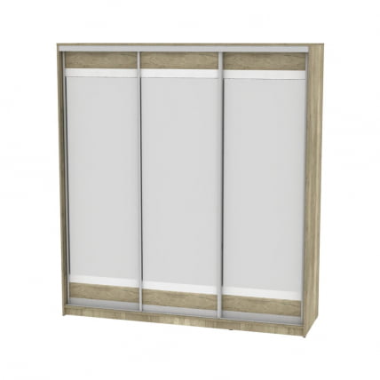 Шкаф-купе B-220х200х60-1(ДКМ-D10D10D10)_0