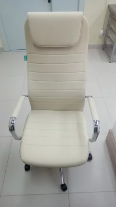 Кресло руководителя Бюрократ KB-9N/ECO/OR-12_8