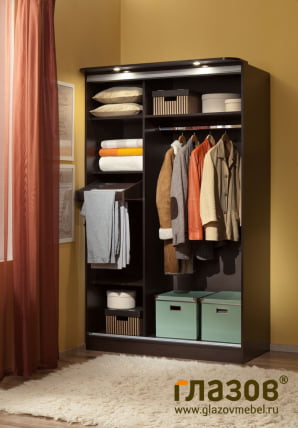 Шкаф-купе 3 Simple Венге_2