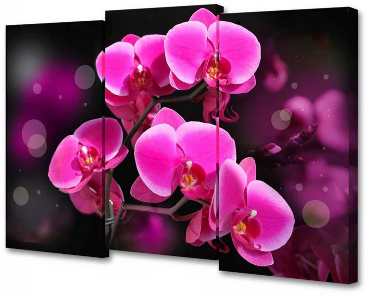 Модульная картина Toplight TL-M2074_0