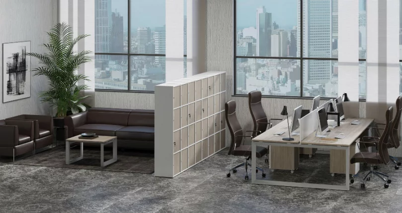 Готовый комплект LOCKER plus №3 Дуб Аттик/Белый_0