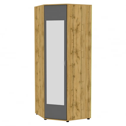 Шкаф распашный Алиса(H6_M2)2230х854х854ручкаскоба96мм(ДВ-Графит)_0