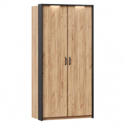 Шкаф двухстворчатый с паспарту Техно 03 Дуб Золотой_0